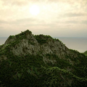 Modélisation et animation 3D d’une île et végétation luxuriante – Tutorial